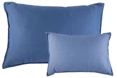 2 "Blue" cushions