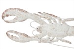 Lobster Wall Decor