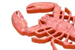 Lobster Wall Decor