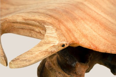 SALAWATI Manta Ray Fish