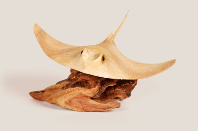 Peix Stingray MISOOL