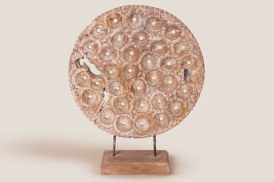 CANBERRA Korallenpaneel