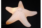 "STARFISH" LAMP