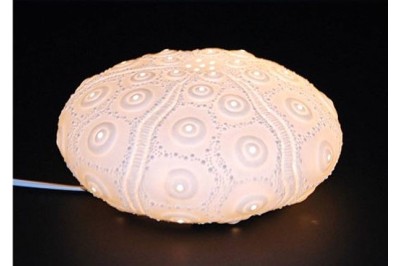LAMPARA CERAMICA "ERIZO DE MAR"