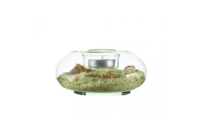 Candleholder conchshell