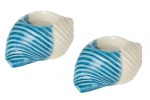 2 Conch candelholder