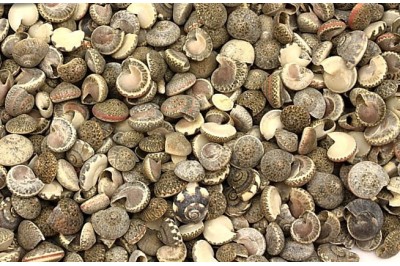 1 Kg. OBBA NATICA BLACK