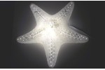 LAMPARA "ESTRELLA DE MAR"