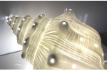 LAMP "SEASHELL"