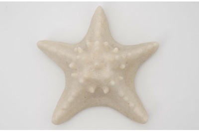 Lámpara Estrella Mar