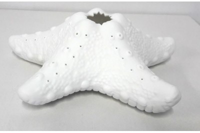 Starfish candelholder