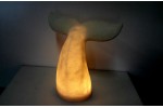 Whale Tail Lamp